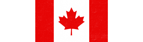 Untitled design (29)